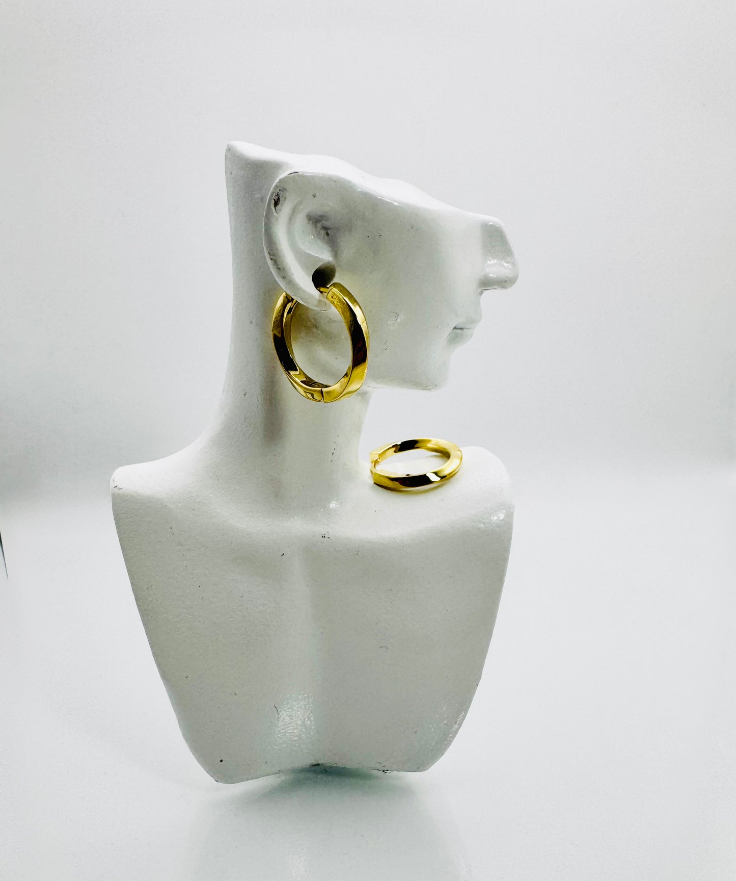 Sleek Classic Hoop Earrings