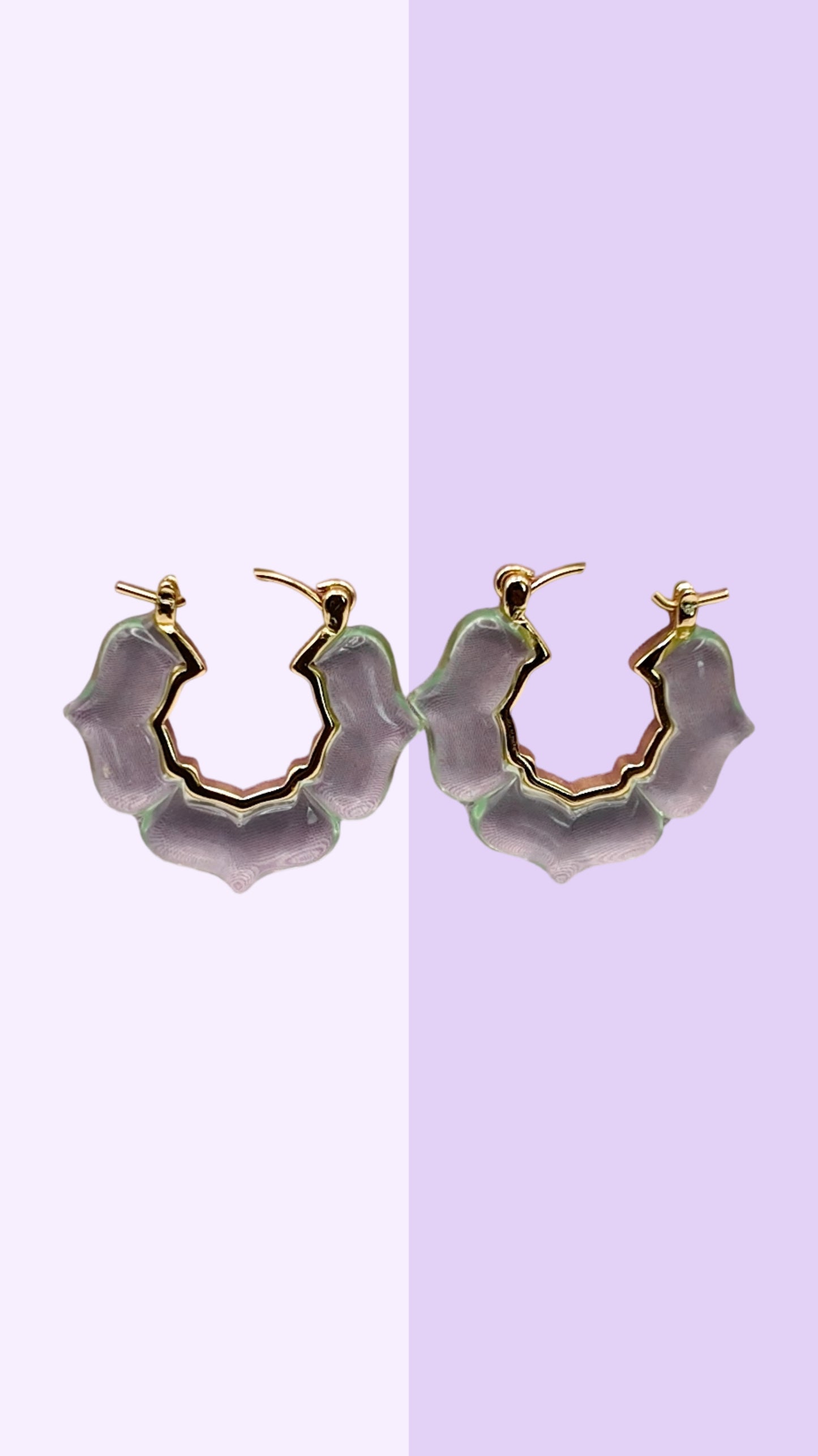 Soft Wave Resin Hoop Earrings