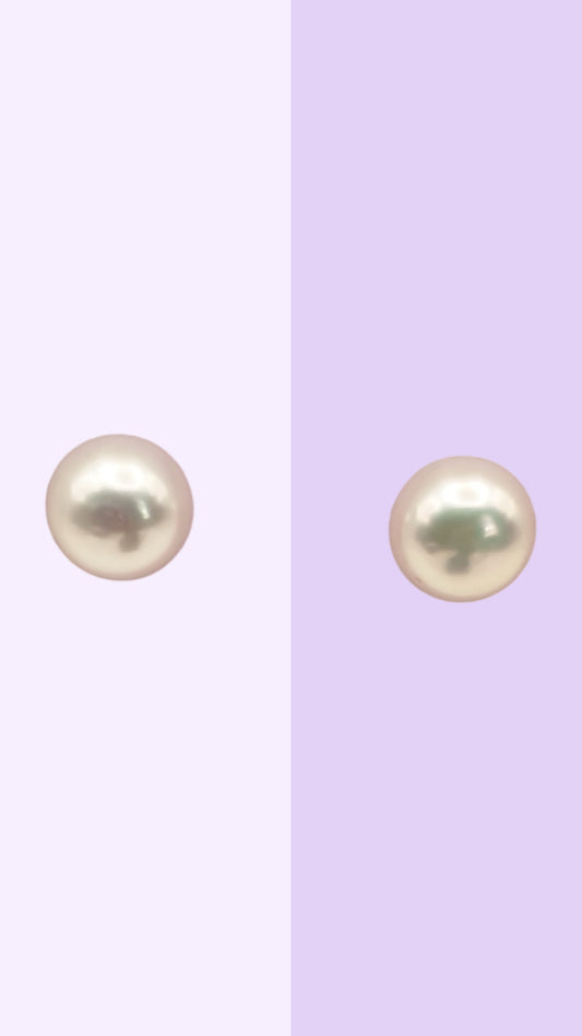Classic Pearl Stud Earrings