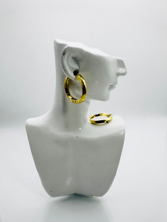 Sleek Classic Hoop Earrings