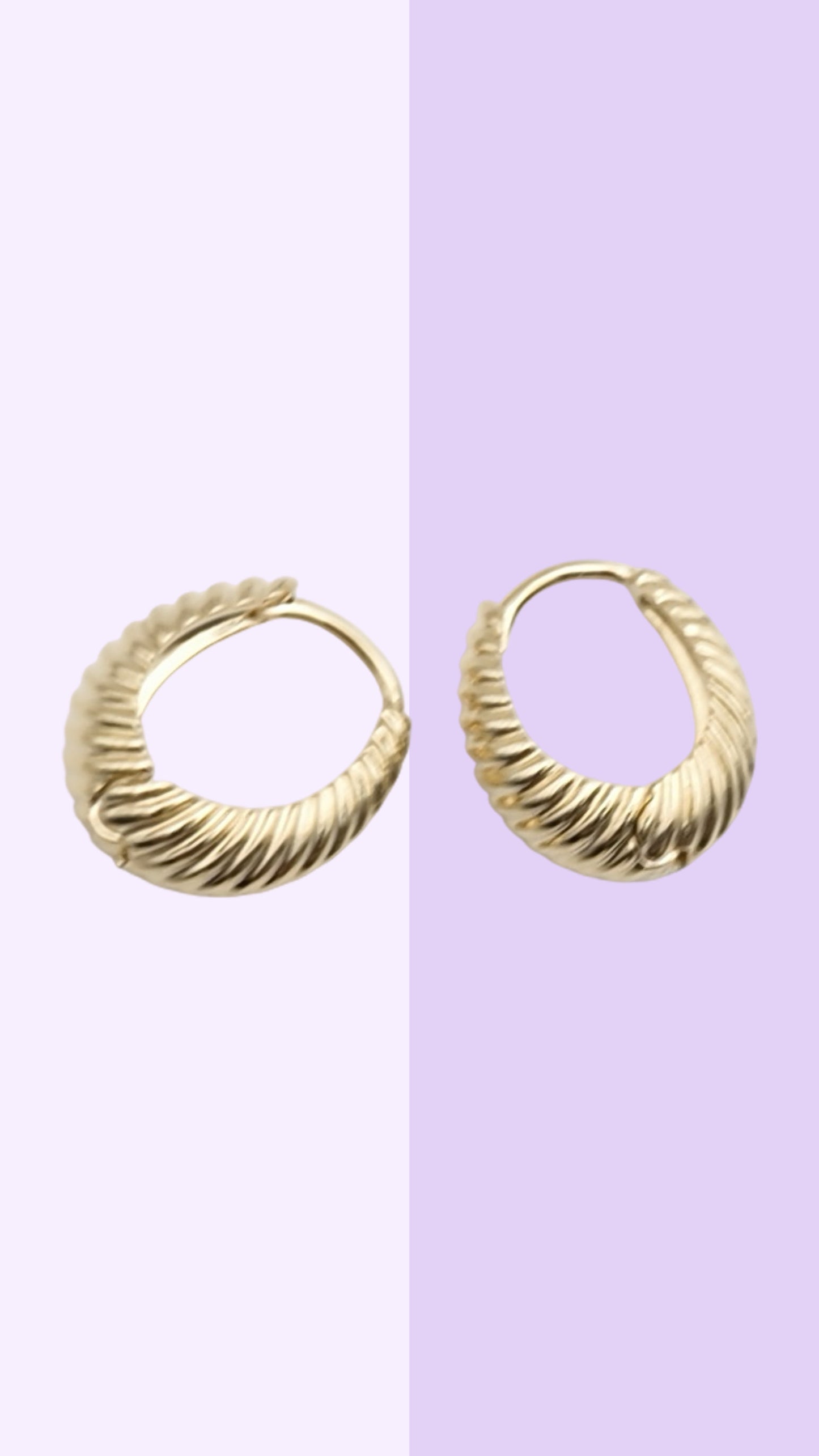 Gold Shell Hoop Earrings
