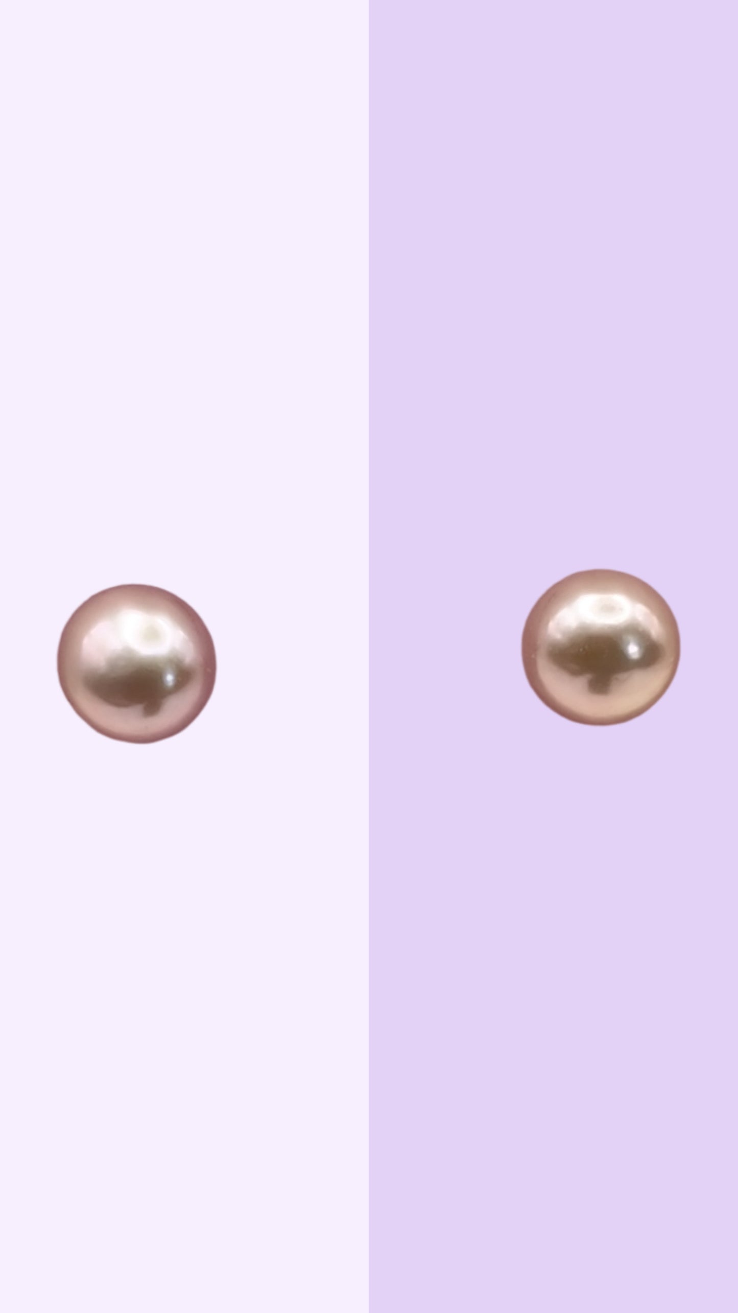 Classic Pearl Stud Earrings (Daily Essential)